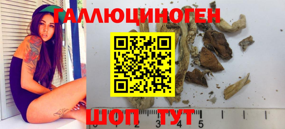 Псилоцибиновые грибы GOLDEN TEACHER Юрга